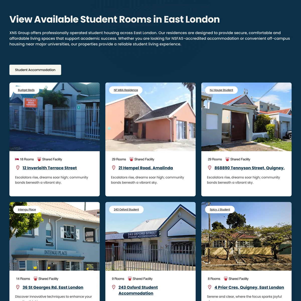 XNS Business Solutions &mdash; digital &middot; website &middot; content work by Hustle Haven